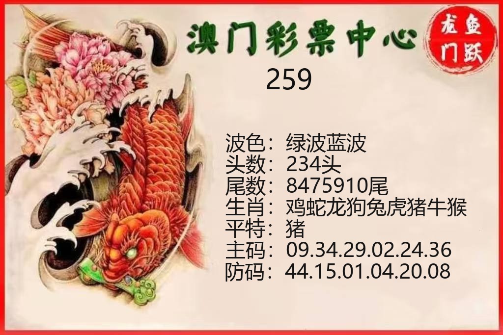 澳门新新彩龙门鱼跃资料图