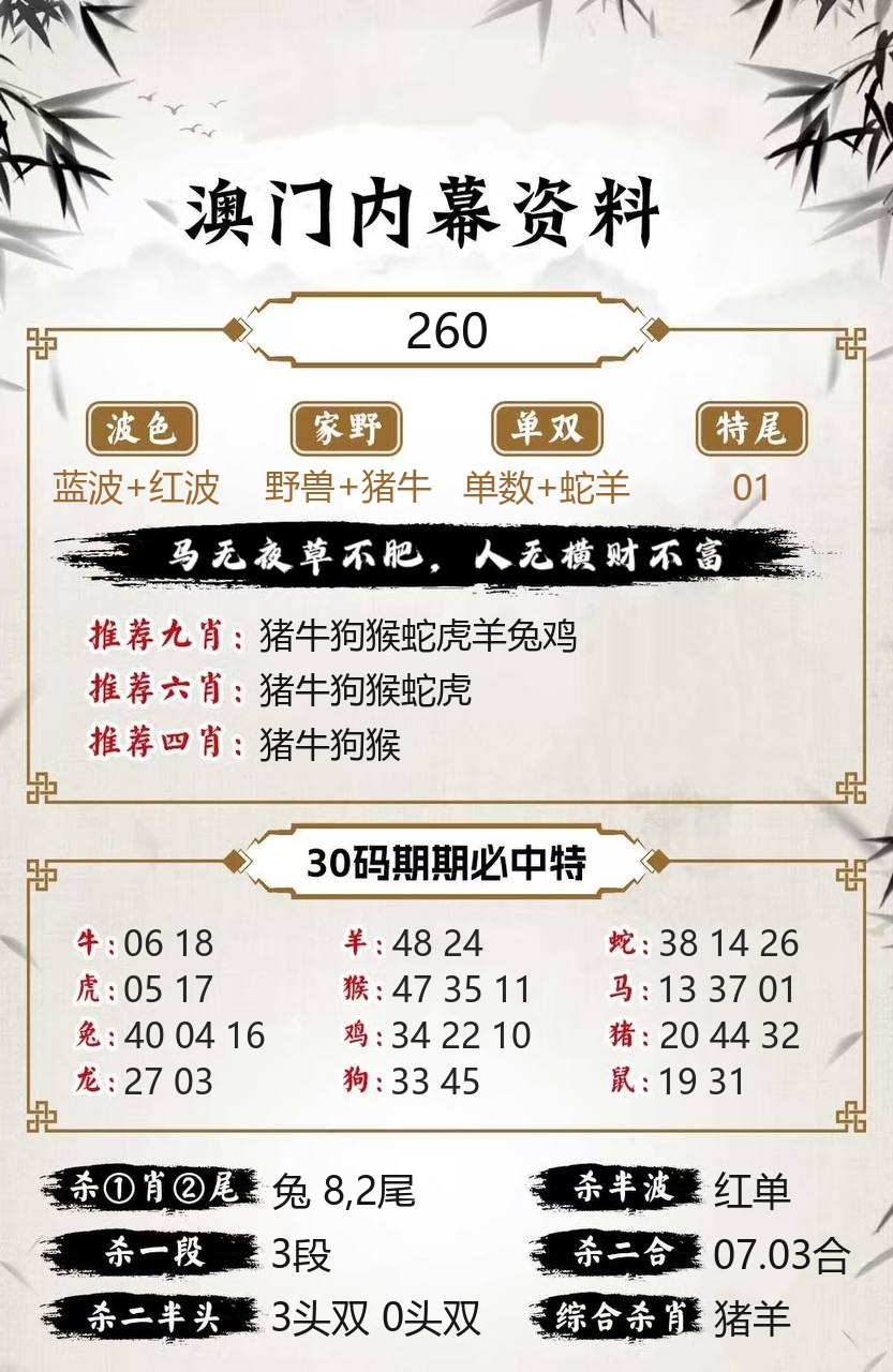 澳门新新彩内幕资料模板